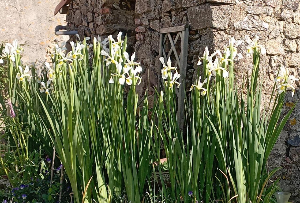 Charmant Gite A La Campagne, Proche Du Puy Du Fou, Les Charmes De Castellariis Pouzauges Εξωτερικό φωτογραφία